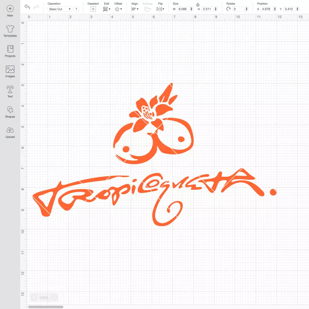 Tropicoqueta SVG | Instant Download SVG PNG Cut File for Cricut & Silhouette - Image 2